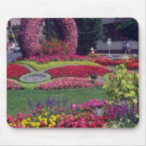 Red Flower Harp In Central Park, Haute Savoie flow mousepads
