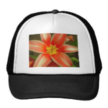 Red Flower Hats
