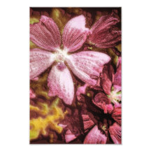 Red Flower Illustration Photographic Print