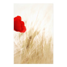 Red Flower in Field Stationery