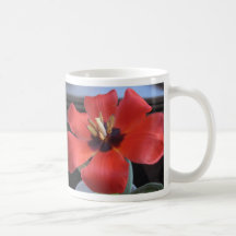 Red flower mugs