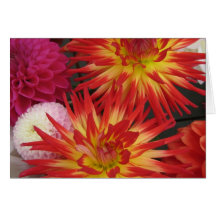 Red Flower Note Card