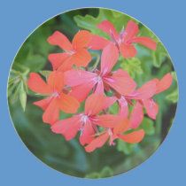 Red flower plates