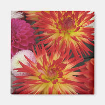 Red Flower Square Magnet