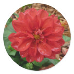 Red Flower Sticker