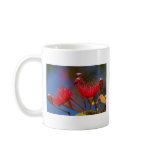 Red-flowering Gum Mugs