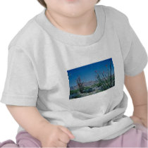 Red Flowering Ocotillo flowers T-shirts