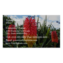 Red flowers against blue sky wit white clouds business card template