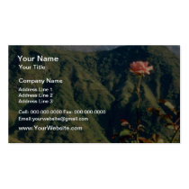 Red flowers blooming wall to wall business cards