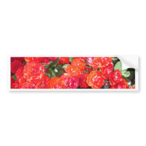 Red flowers bumper sticker
