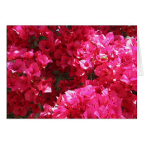Red flowers
