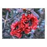 red flowers greeting card