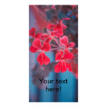 Red flowers customized photo card