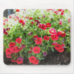 red flowers in the sun mouse pads