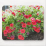 red flowers in the sun mouse pads