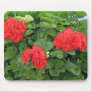red flowers mouse pads