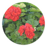 red flowers round stickers