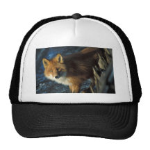 Red Fox at Shipwreck Courtney Ford Mesh Hat