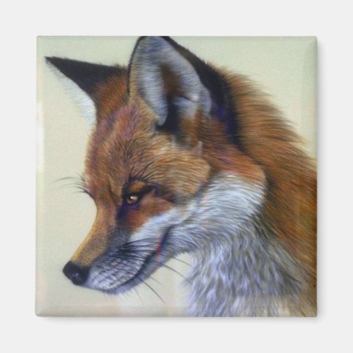 Red Fox (head study) Refrigerator Magnets