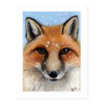 Red Fox in the Snow Painting Postcard postcards