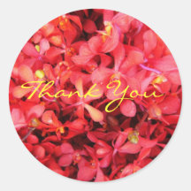 Red Frenzy - Thank You Round Sticker