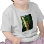 Red Fronted Lemur in tree Tshirts