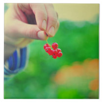 Red fruits tiles