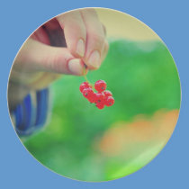 Red fruits plates