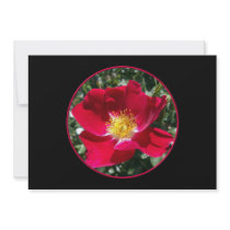 Red / Fuchsia rose Invitation