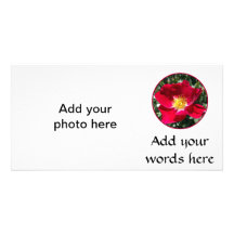 Red / Fuchsia rose Photo Greeting Card