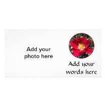 Red / Fuchsia rose Photo Greeting Card
