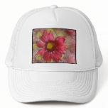 Red Gaillardia Baseball Hat