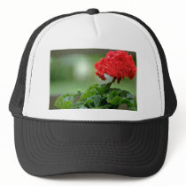 Red Geranium Blossom flowers Mesh Hats