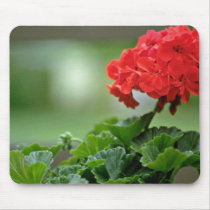 Red Geranium Blossom flowers Mousepads