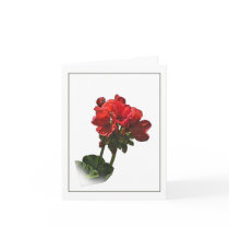 Red Geranium Botanical Sketch Note Card