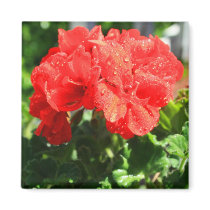 Red Geranium Flower Magnet