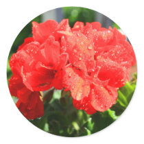 Red Geranium Flower Sticker