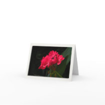 Red Geranium note card