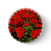 Red Geraniums Button