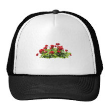 Red Geraniums Hat