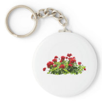 Red Geraniums