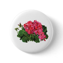 Red Geraniums with Buds Pinback Button