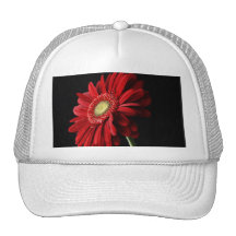 Red Gerber Daisy Baseball Hat