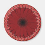 Red Gerber Daisy Magnets