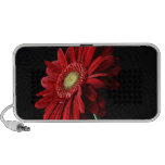 Red Gerber Daisy Speakers
