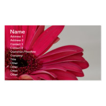 Red Gerbera Daisy Business Card