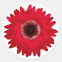 Red Gerbera Daisy Round Stickers