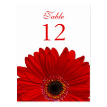 Red Gerbera Daisy Table Number Card Flat Post Cards
