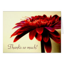 Red Gerbera Thank You Card