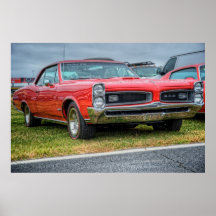 Red Goat Print